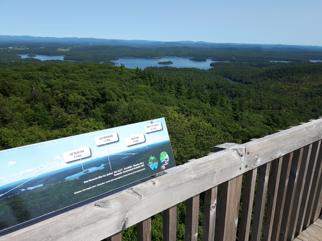 Tour d'observation sur le sentier 1