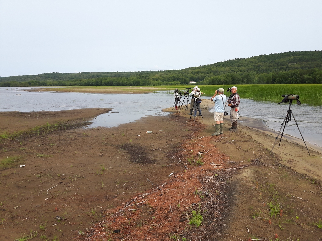 Plage de la baie Pumpkinseed