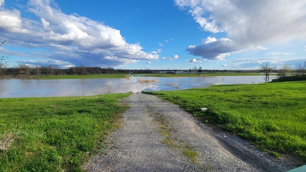 Chemin d'accès Marais des Laiches