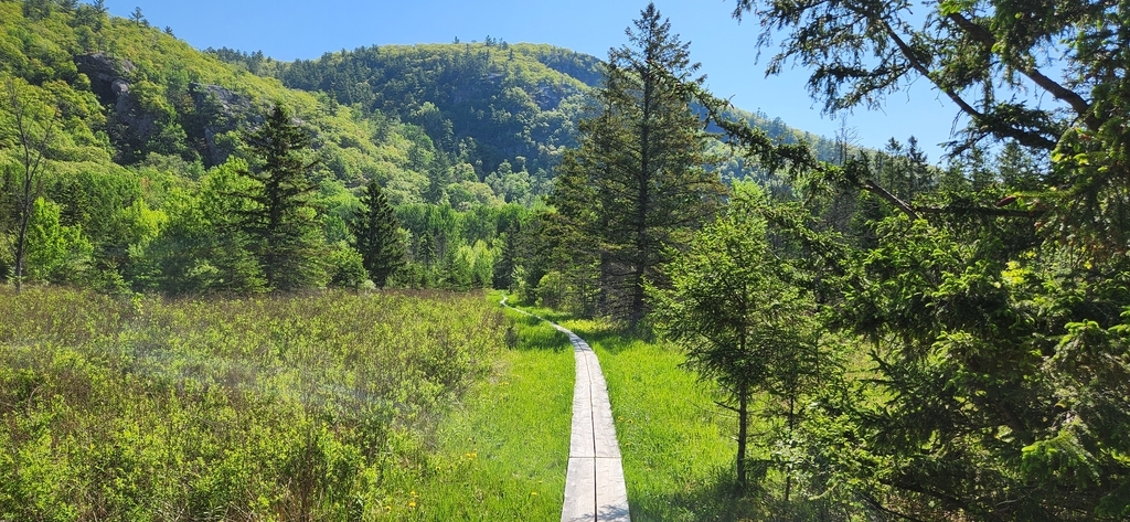 Sentier sur passerelle