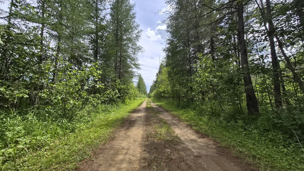 Véloroute